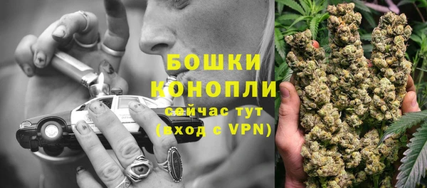 ПСИЛОЦИБИНОВЫЕ ГРИБЫ Белокуриха