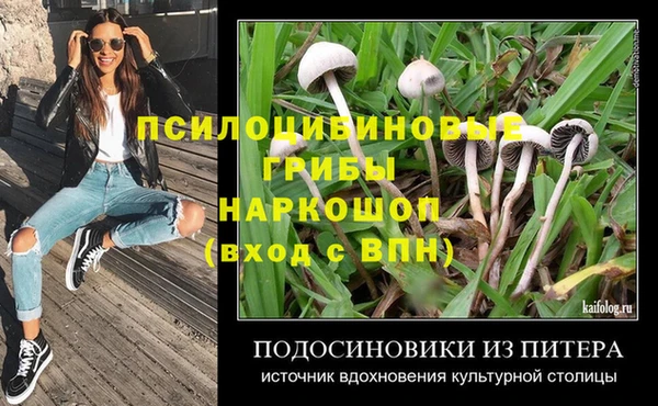 ПСИЛОЦИБИНОВЫЕ ГРИБЫ Белокуриха