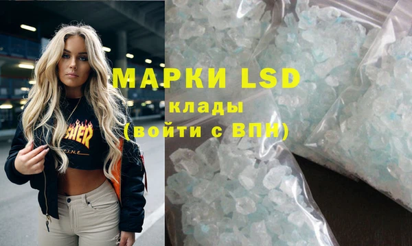 ПСИЛОЦИБИНОВЫЕ ГРИБЫ Белокуриха
